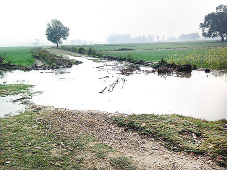 Bkevr filled water in fields, crops submerged