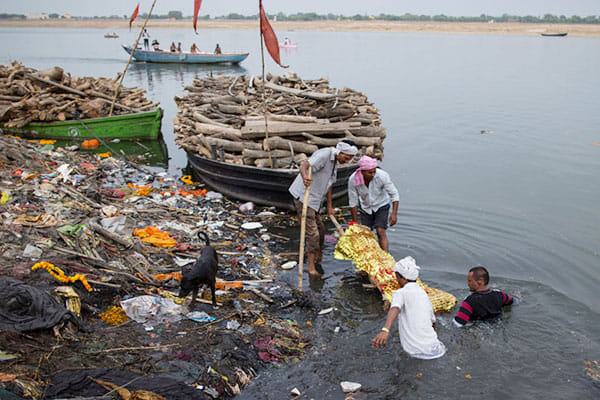 ganga river polluting responsive caught with this plan 