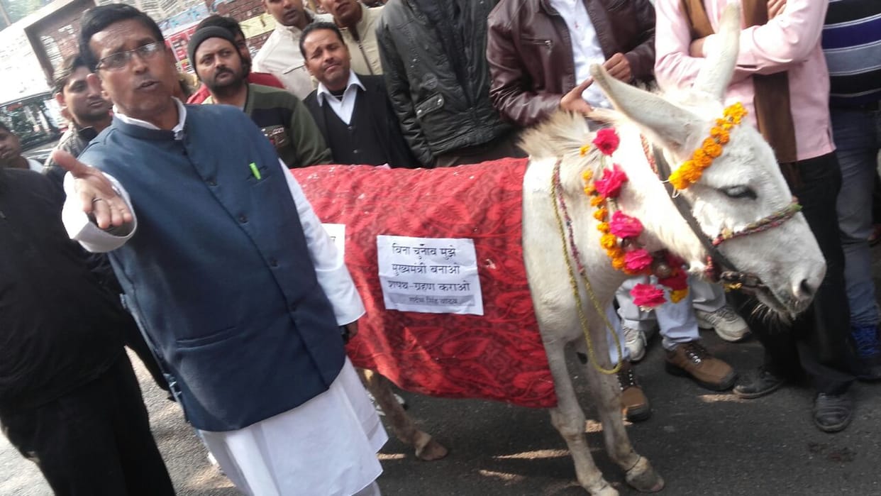 donkey reaches for nomination in lucknow