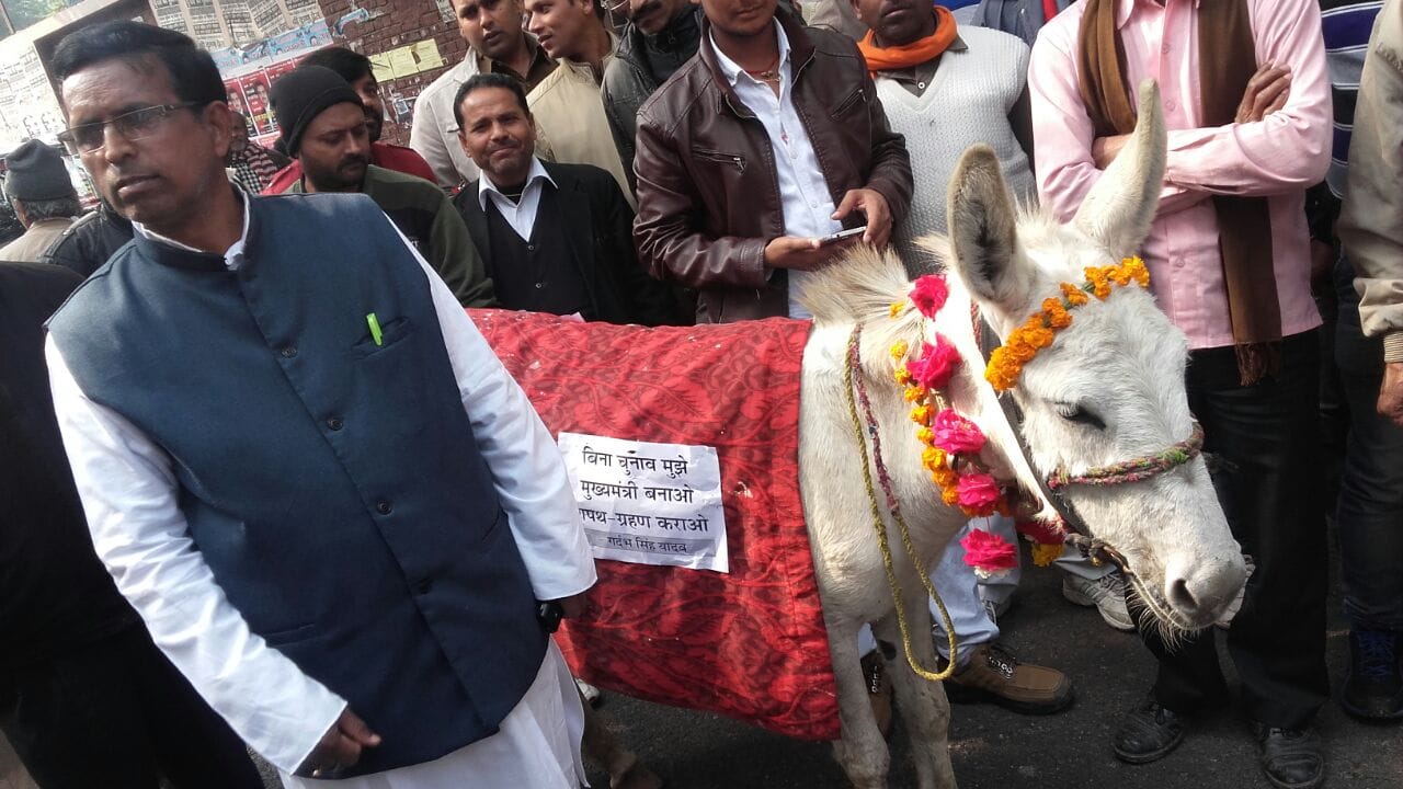 donkey reaches for nomination in lucknow