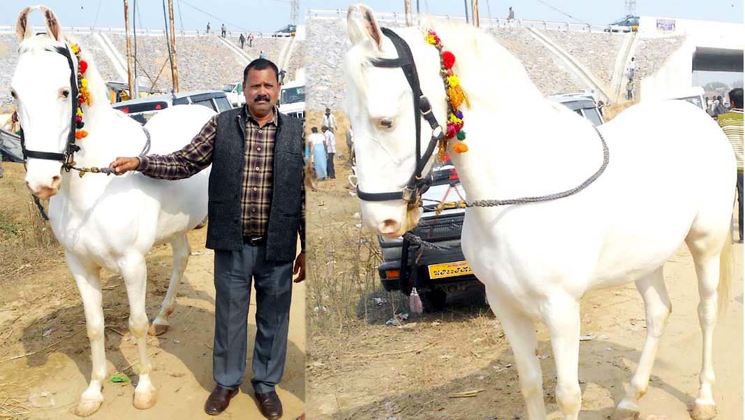 expensive aishwarya mare