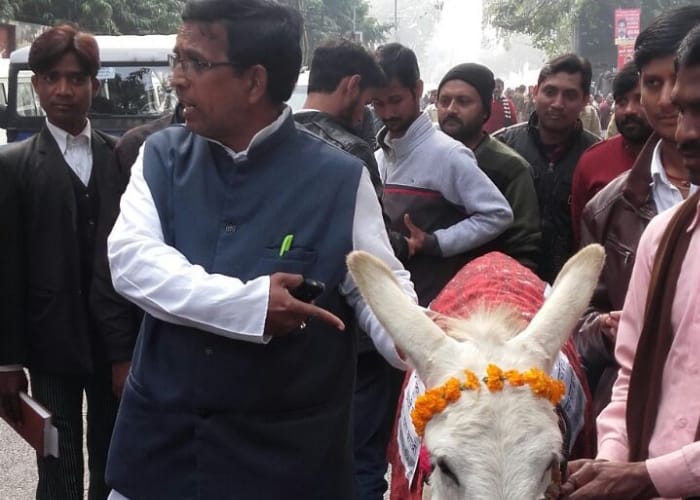 donkey reaches for nomination in lucknow