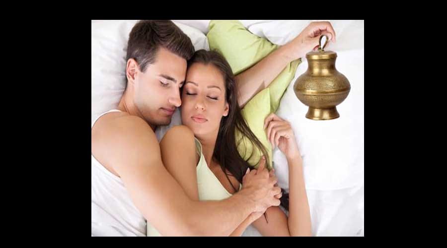 lal kitab remedy for happy home