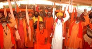 Mother's power would remove obstacles to building a temple of VHP