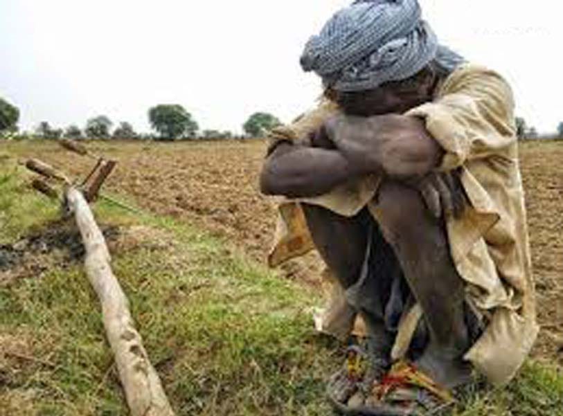 hail destroyed crops two farmer death