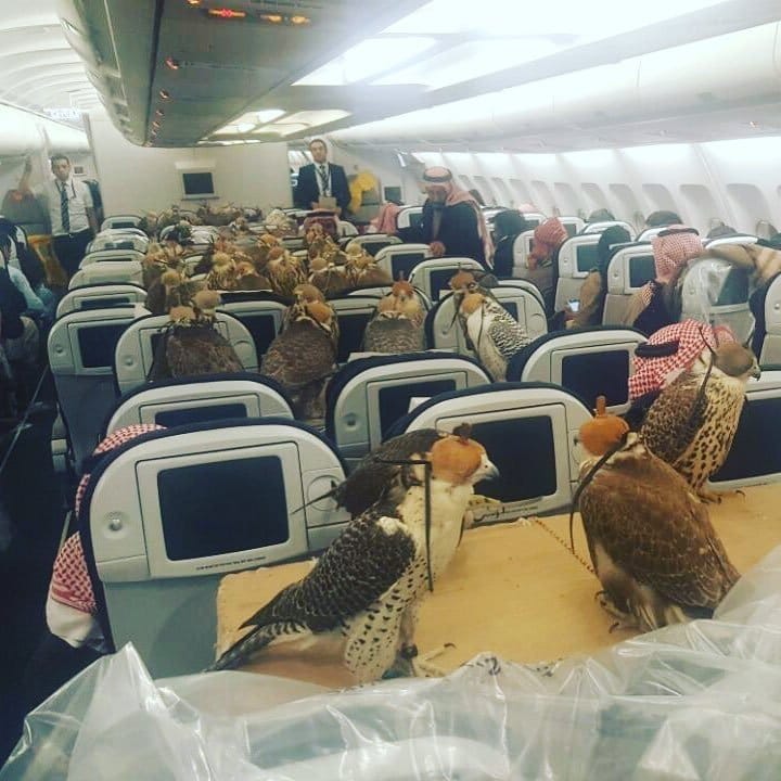 Saudi prince booked flight seats for eagles