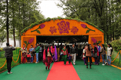 rose festival 2017 at chandigarh, chandigarh news