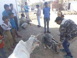 Dudi went missing in forest green block