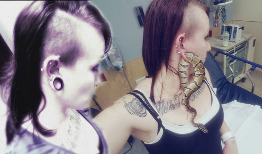 A Ball Python Got Stuck In Woman's Ear Piercing
