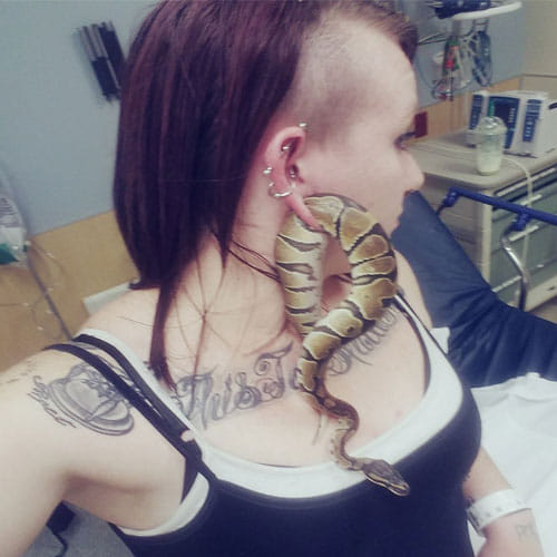 A Ball Python Got Stuck In Woman's Ear Piercing