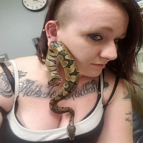 A Ball Python Got Stuck In Woman's Ear Piercing