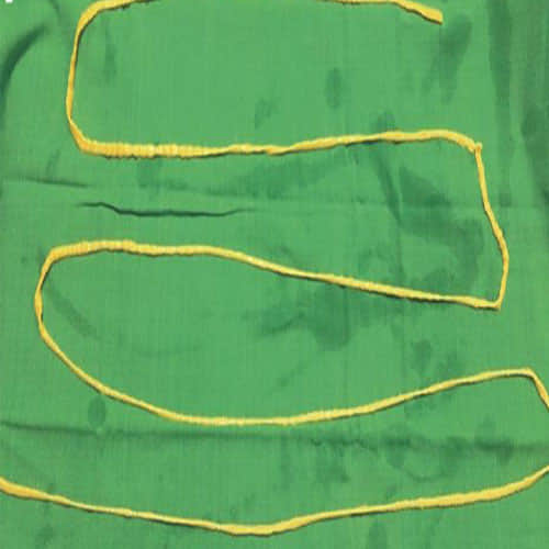 2 Meter Long Tapeworm Pulled Out Of A Man's Stomach