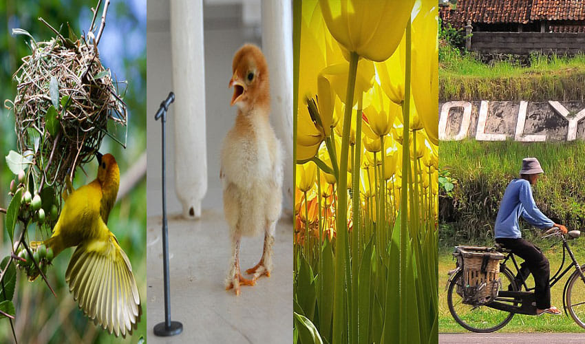 National Geographic Published The Best Pictures Clicked By Kids