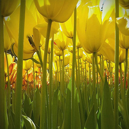 National Geographic Published The Best Pictures Clicked By Kids