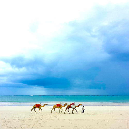 National Geographic Published The Best Pictures Clicked By Kids