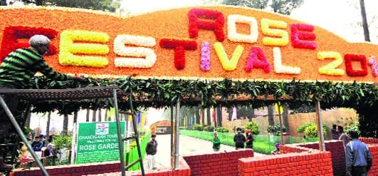 rose festival 2017 at chandigarh, chandigarh news