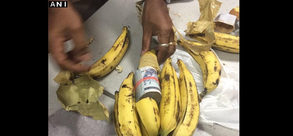 Saudi riyals was being transported hidden in banana at Kerala airport 