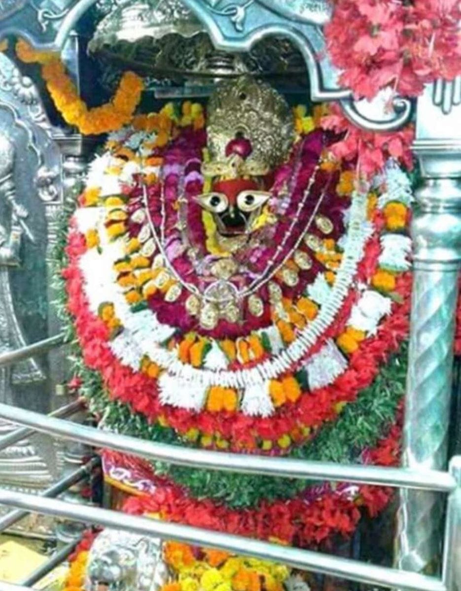 on the occassion of navratra the devotee worshiped ma vindhyawasni 
