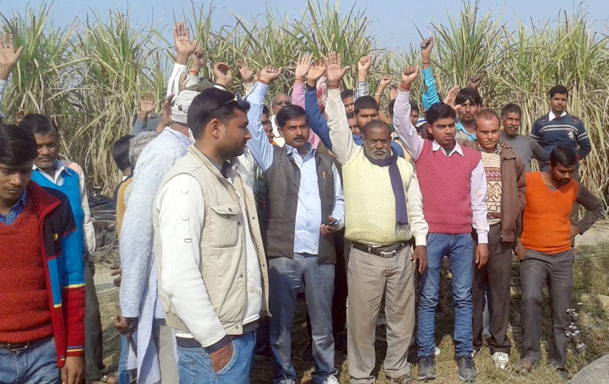 The body of a bovine animal to meet The tension in the village, protests