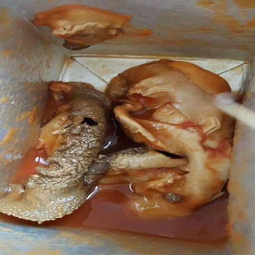 Woman Found A Fetus In Aldi Tomato Juice Can