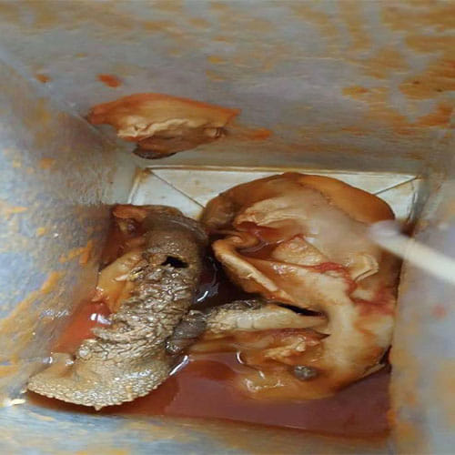 Woman Found A Fetus In Aldi Tomato Juice Can