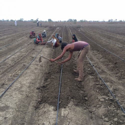 Man Left His High Paying Job For Natural Farming