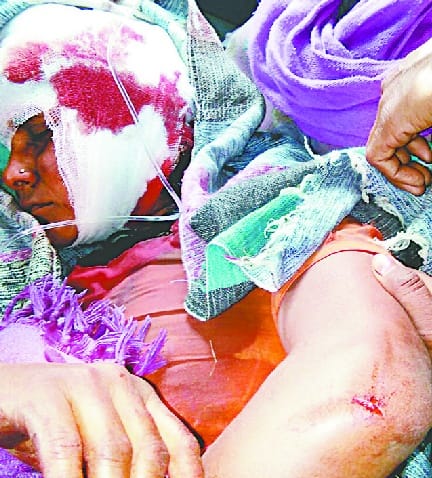 Kuakedha gambier Tiger Attack