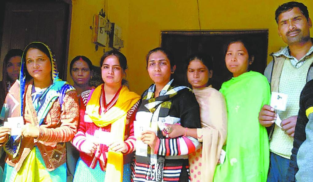 52 percent voting in elections of Graduates MLC 