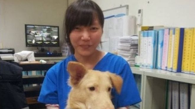 suicide commit with the same poison which is used to kill 700 dogs