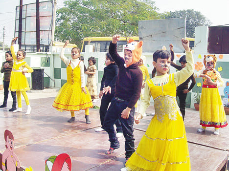 Dance contest plenty Thirke Sapling