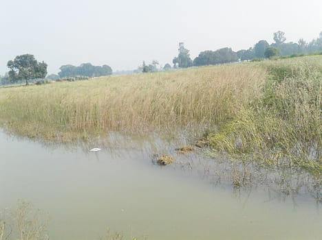 To cut the Khandi risk on crops 