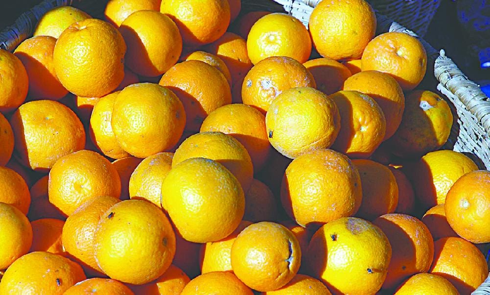 Producing a variety of fruits on the production of empty pockets