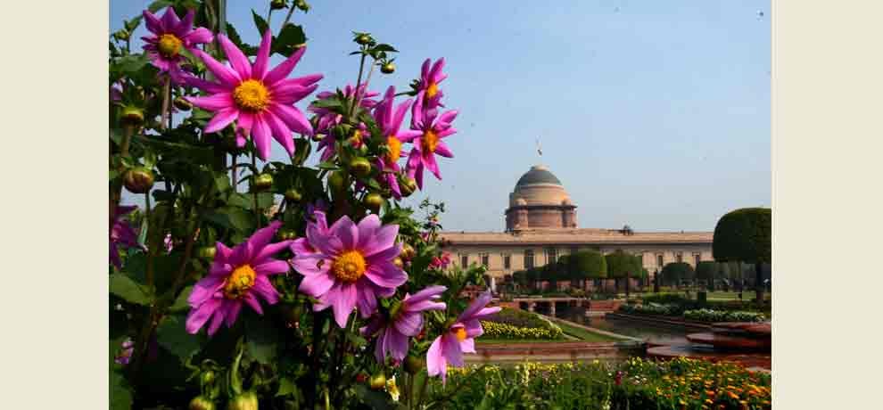 president house mughal garden will be open for commoners from 5 February in delhi 