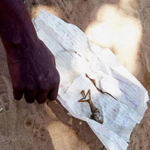 Woman In Zimbabwe Gave Birth To A Frog Like Baby 