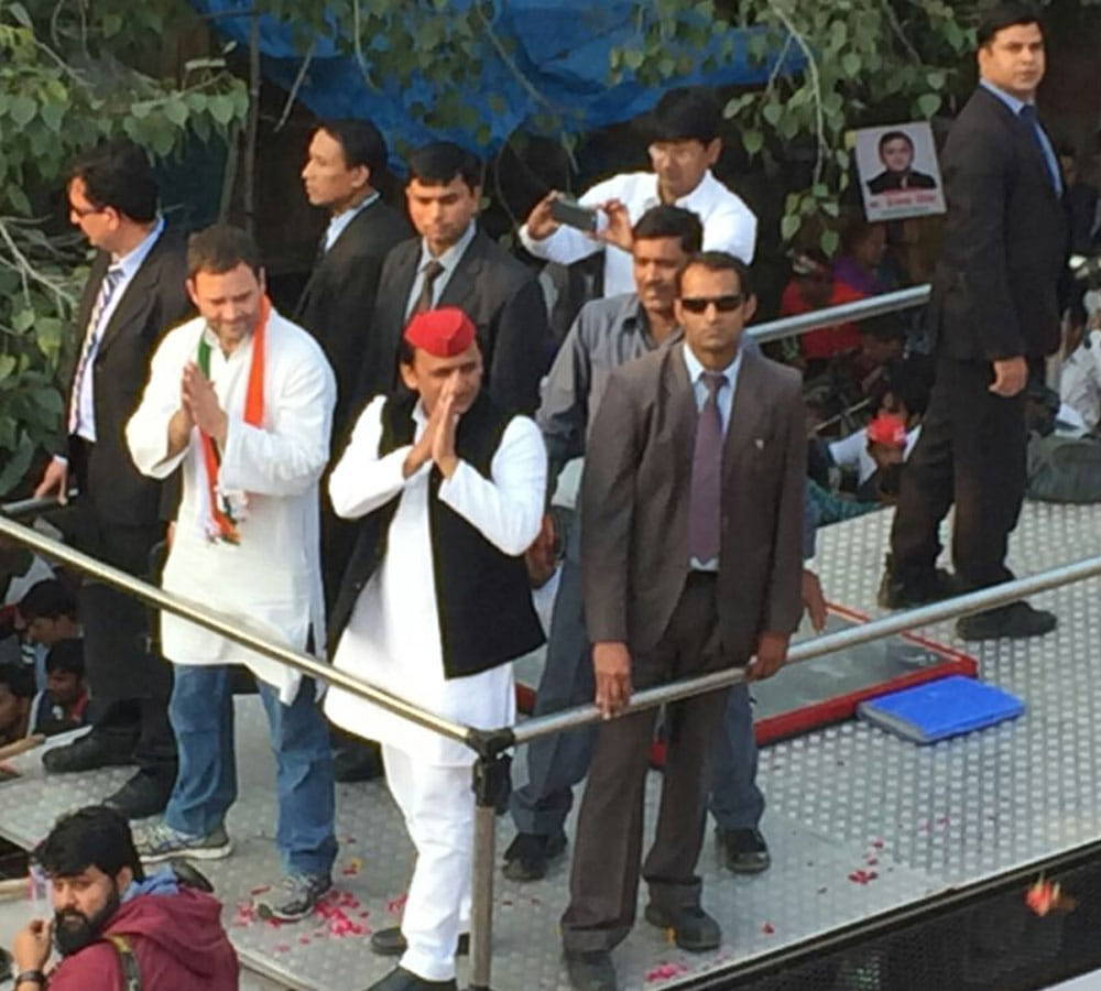 bull makes people run just before few minute of rahul and akhilesh road show