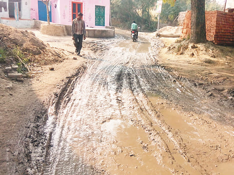 The bog road, come to grips rural