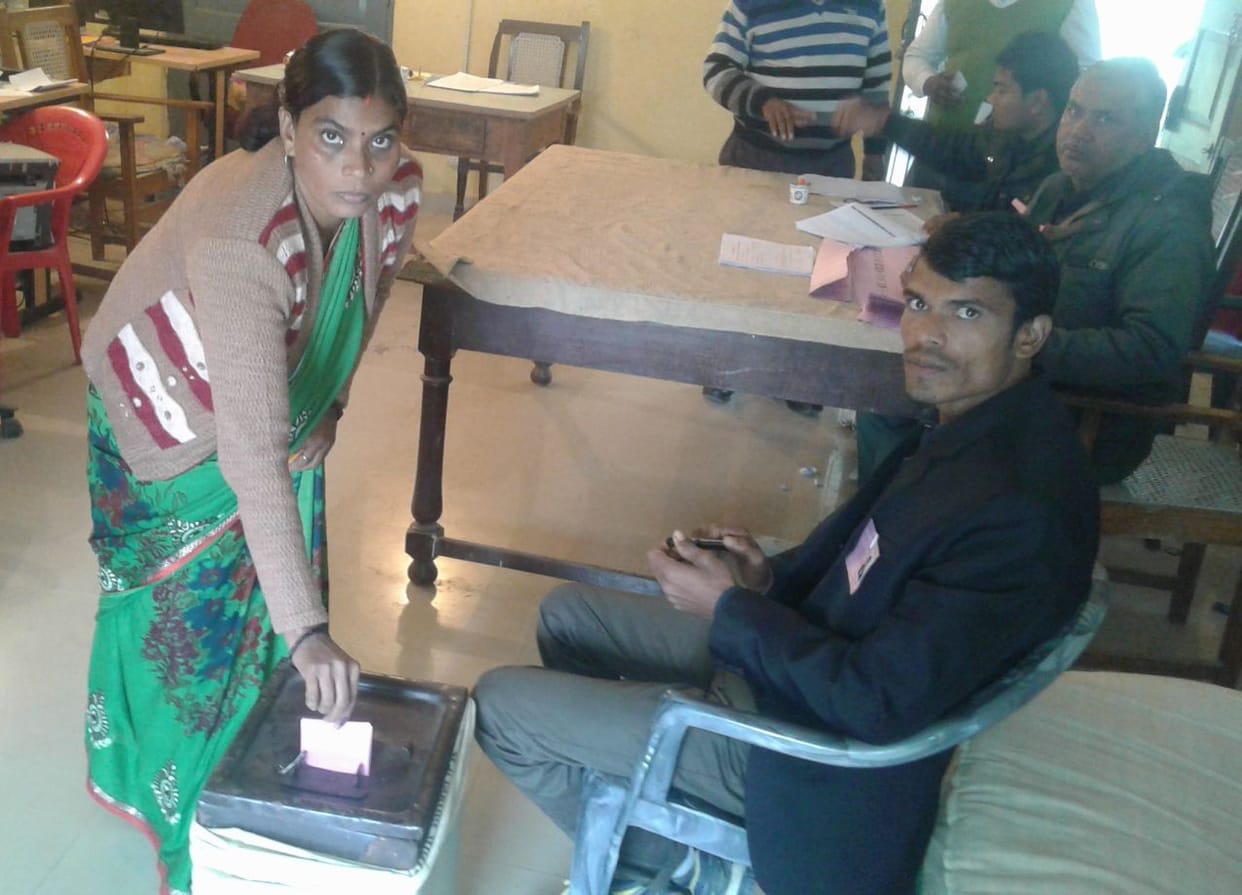 53% voting in Bachelor MLC’s election