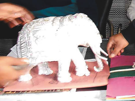 BSP supremo offering to come to the police station to collect elephant