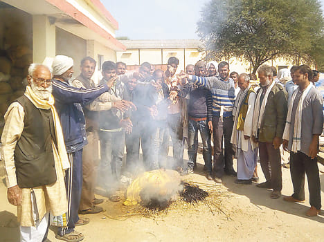Angry farmers burnt rice