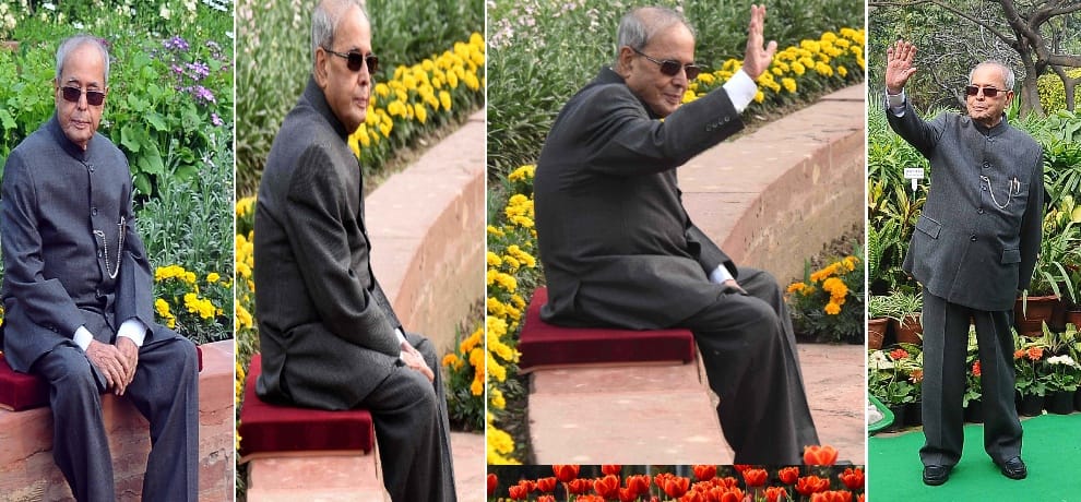 Didar colorful flowers relax some Yun President