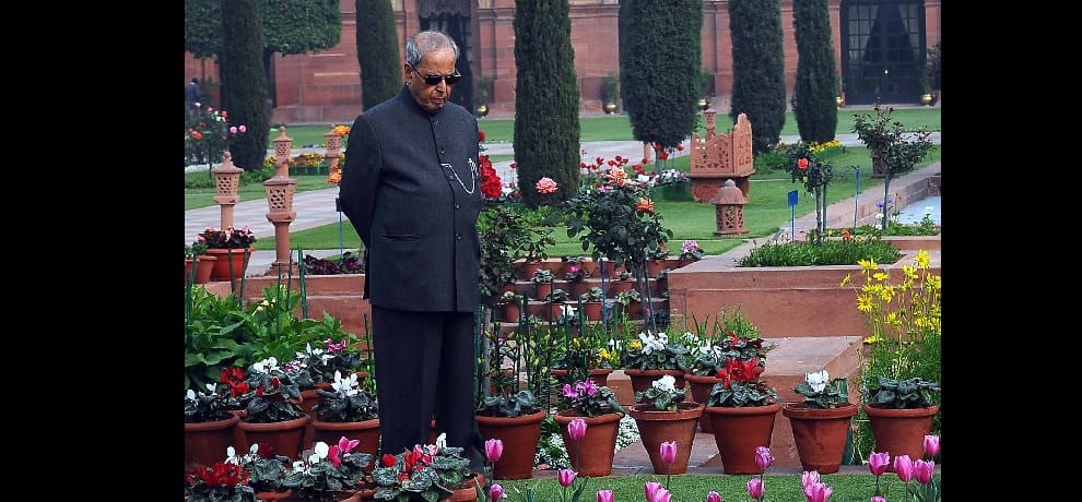Didar colorful flowers relax some Yun President