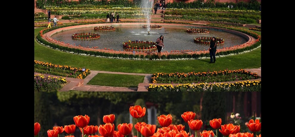 Didar colorful flowers relax some Yun President