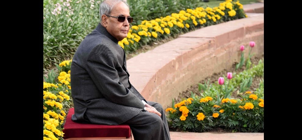 Didar colorful flowers relax some Yun President