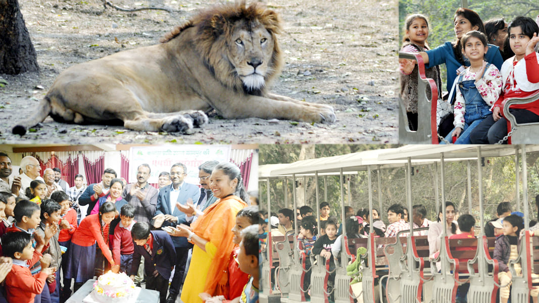 birthday of kanpur zoo