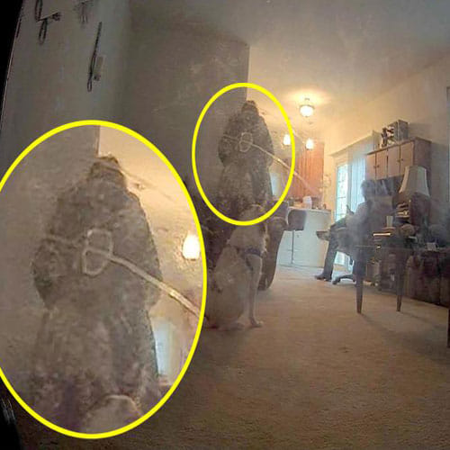 Ghost Found In A Couple's Home In America