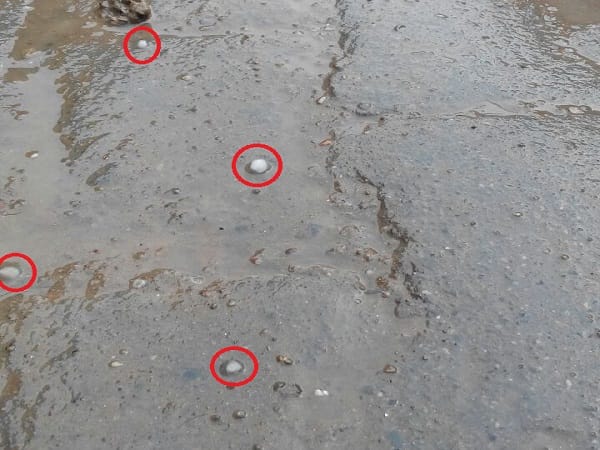 Hail showers in Meerut, Grow cold again