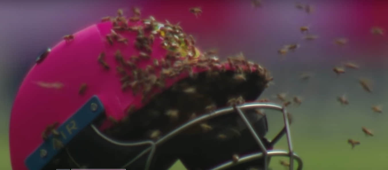 honey bee attacked during south africa vs Srilanka ODI 