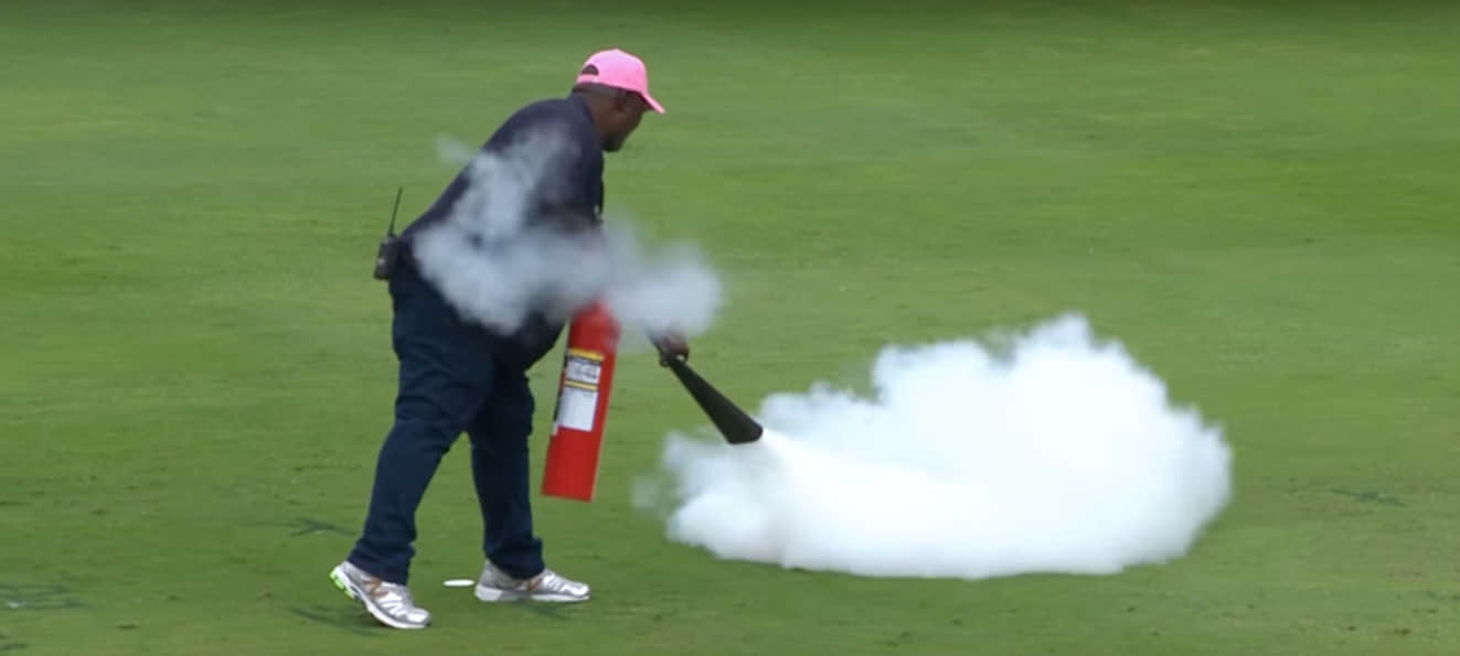 honey bee attacked during south africa vs Srilanka ODI 