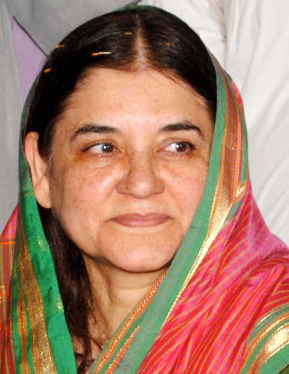 In the two assemblies will hold meetings in Pilibhit Maneka