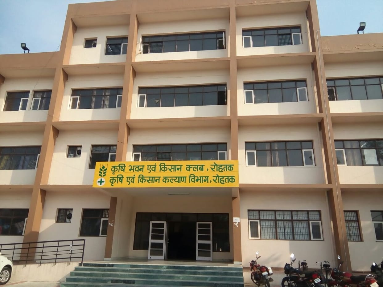 agriculture department in rohtak